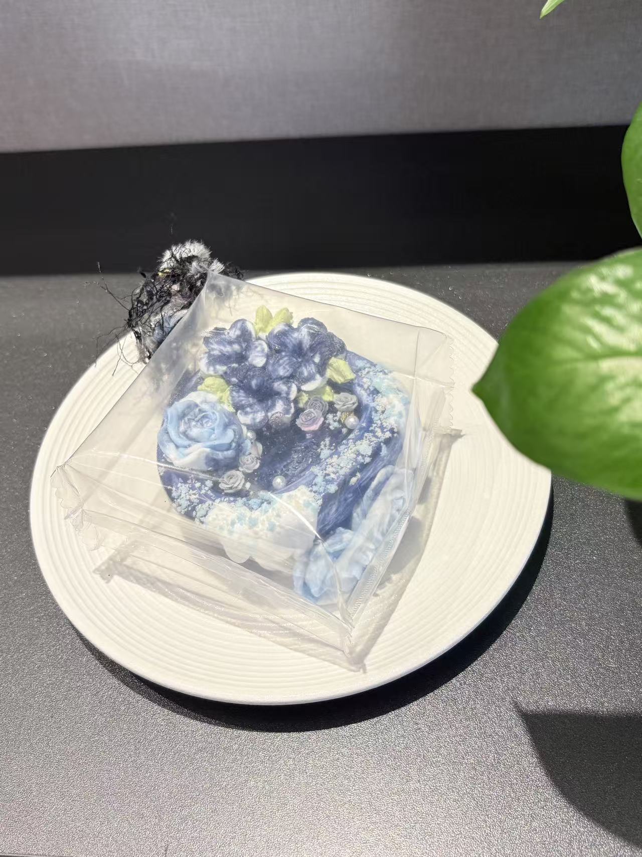 紺色の願い池